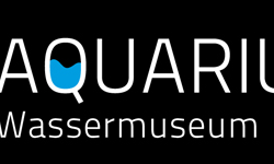 aquarius wassermuseum